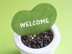 ピアノと歌の教室　Amoroso（アモローソ）